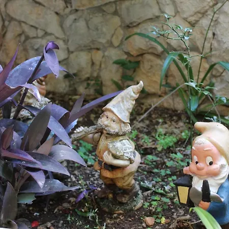 ゲストハウス Nikola Leko フヴァル